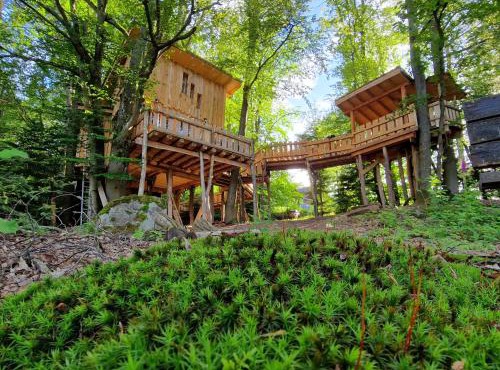 La Cabane dans les arbres du Domaine de la Forestière