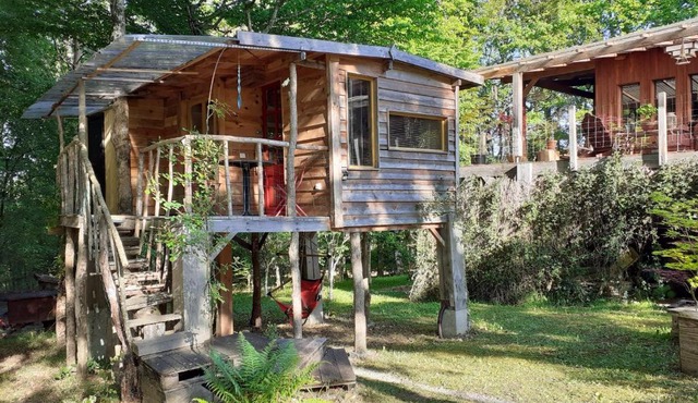 La cabane de l'oiseau