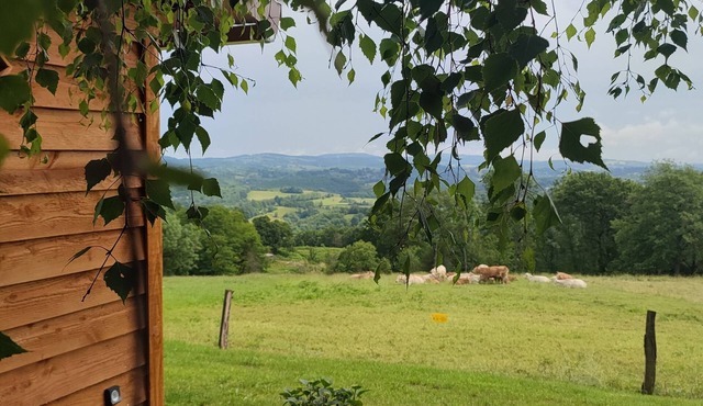 La Cabane de Pauline