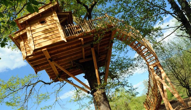 La Cabane du Vieux Chêne