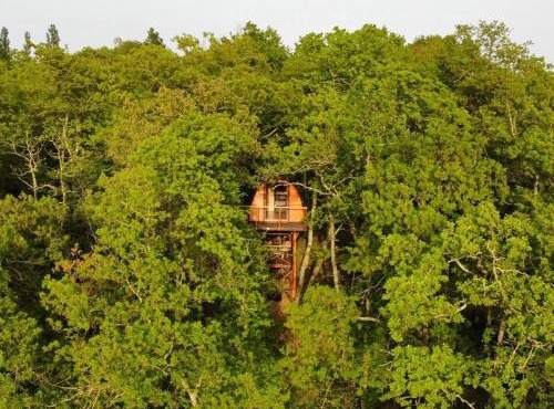 La cabane entre les cimes