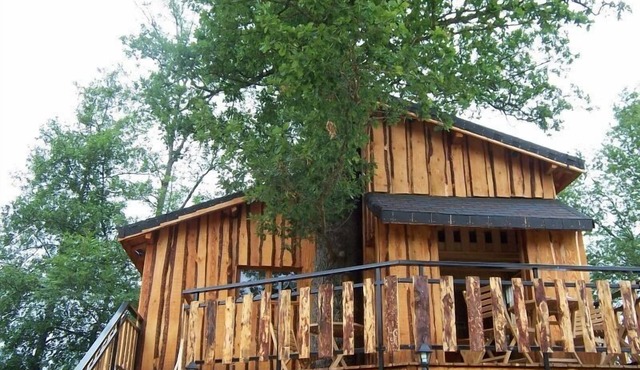 La Cabane Dans les Arbres