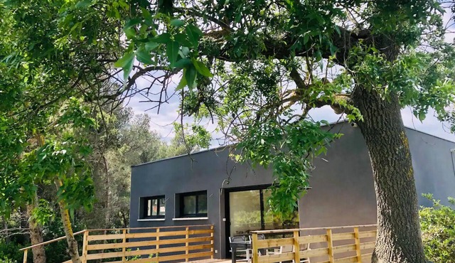 « La Cabane » Mur de Verre Xxl, vue Panoramique