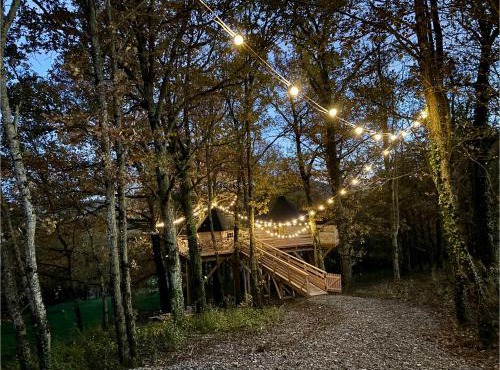 La Cabane perchée du Grand Chêne