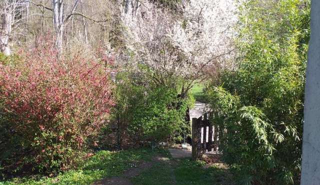 La Cabanette à 10min de Disneyland Paris - Cabane & Cabanon