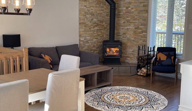 La Cachette au coeur du village - Family, ski, lake and outdoor - 31 nights and more
