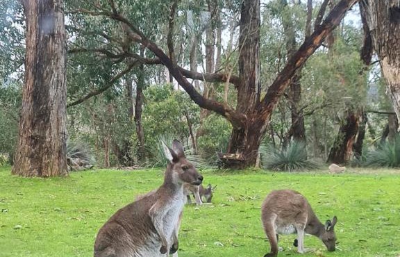 La cachette bushland hideaway