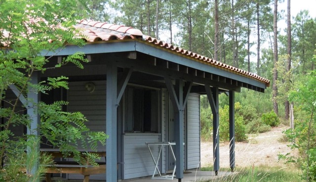 La Callune - Brocas - Gîte