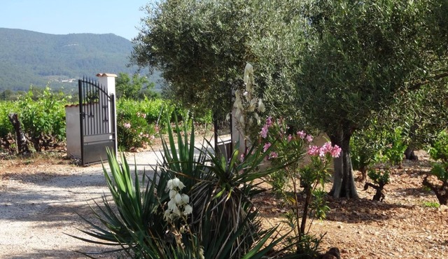 La Campagne - CUERS - Gîte