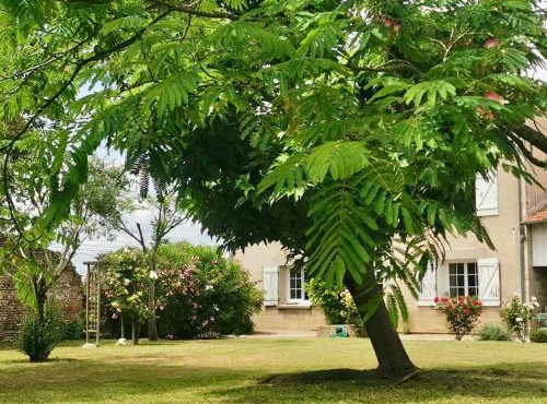 La Canolière - Chambre d'hôtes Olivia