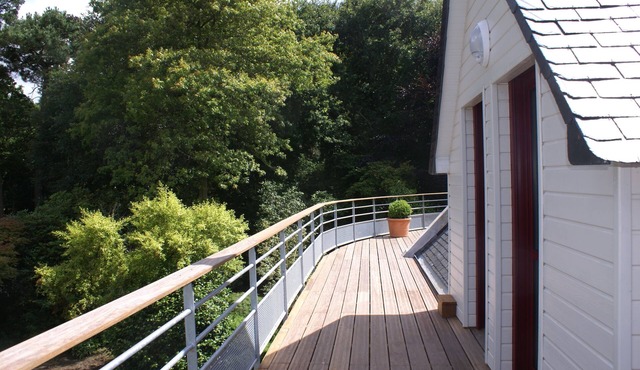 La Canopée des pins