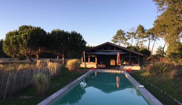 La Canopée des Landes: 25 beds, 4 houses, 2 swimming pools in the heart of the forest