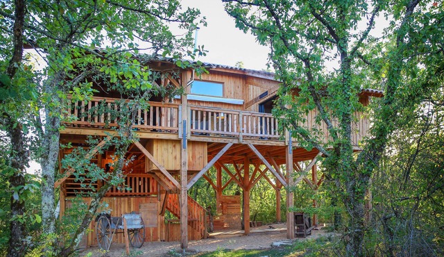 La canopee - Exceptional cabin