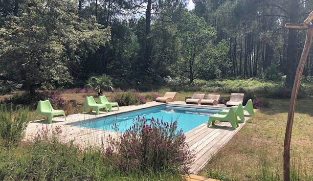 La Canopée - home in the heart of the forest