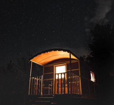 La Carriole dans le jardin