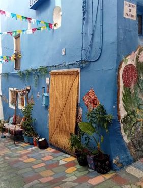 LA CASA AZUL