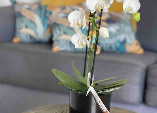 La Casa di Maria - Gîte 2 à 4 personnes