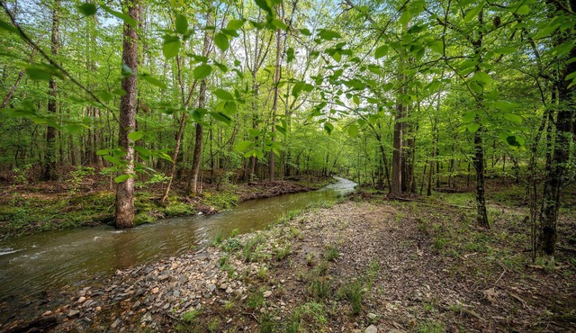 La Casita - 8 Acres w/Creek