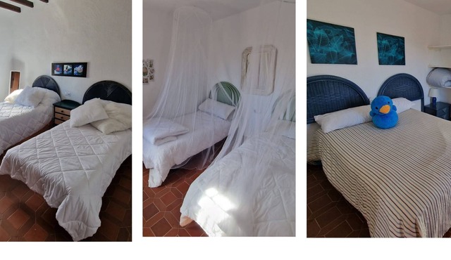 La Catrina vacation home for families and large groups.