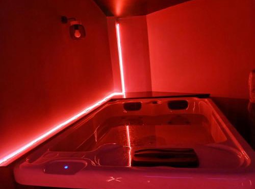 La chambre des plaisirs secrets