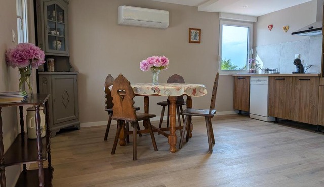 La charmante remise d'Alsace - Appartement Chez Mamama et Papapa