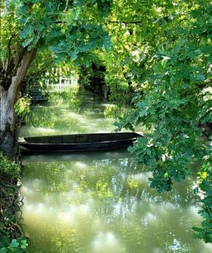 La chaume du marais poitevin avec barque green venice with boat