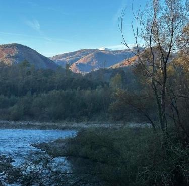 La Cheminée - Chambres d'hôtes avec bar-restaurant