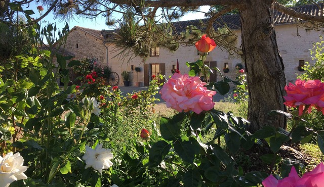 La Chouette: pretty gite with pool and extensive gardens