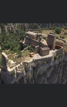 La cigale des cantarelles