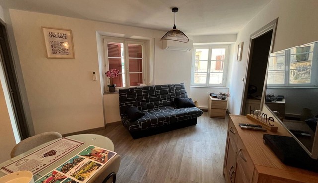 La cigogne rêveuse 2 - F2 air-conditioned