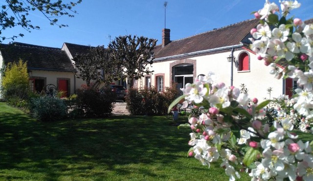 La cité des abeilles