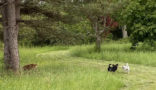 La Clémendière : un Paradis Caché