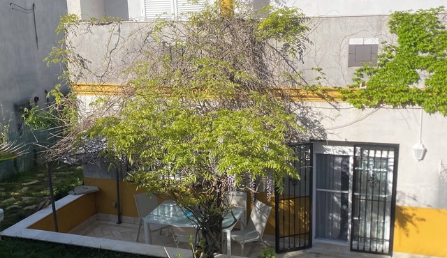 La Cocotera