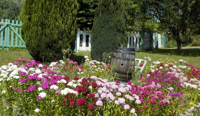 La Colline aux Fustes