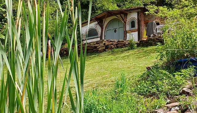 La Comté "Where the frogs sing