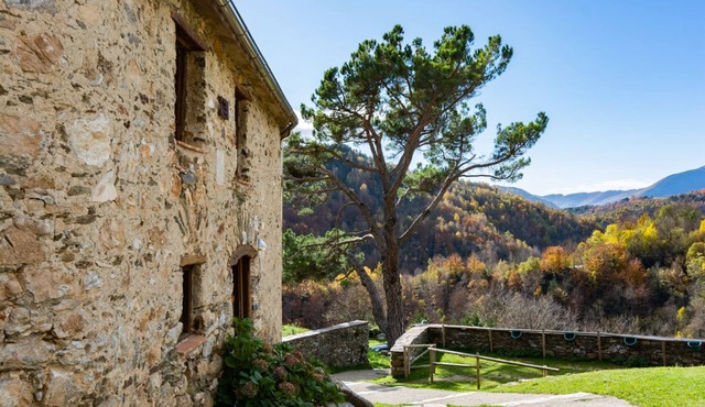 La Costa de Mollo