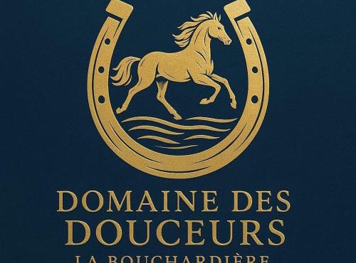 La Crinière d'Or Une chambre raffinée pour une parenthèse de douceur en normandie