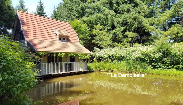 "La Demoiselle" in a botanical garden