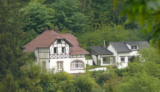 La Dependance de la Villa des Oiseaux - La Petite Pierre