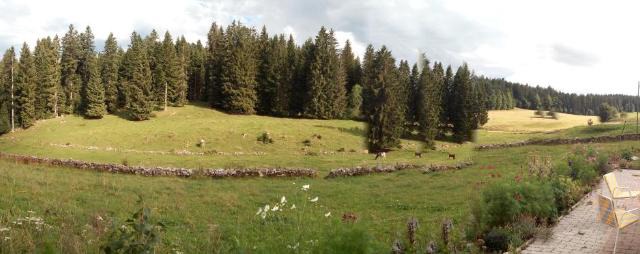 La Dernier (La cote-aux-fées) Suisse