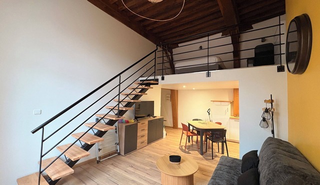 La Diligence - Charm & Clim in the heart of Dijon