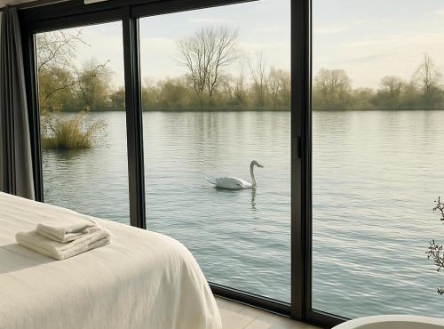 La Dolce Vita ! Sauna, Spa, Cinéma