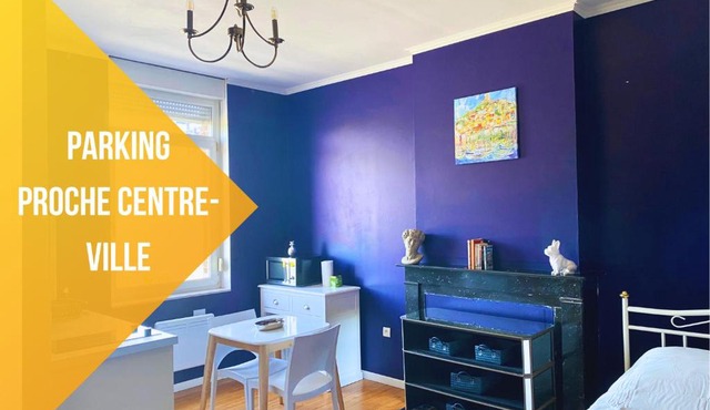 La Domus Lemaitre 5- Parking - TV - Wifi