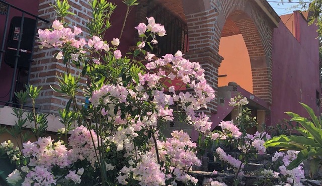 La Escondida, Alberca y Jardín