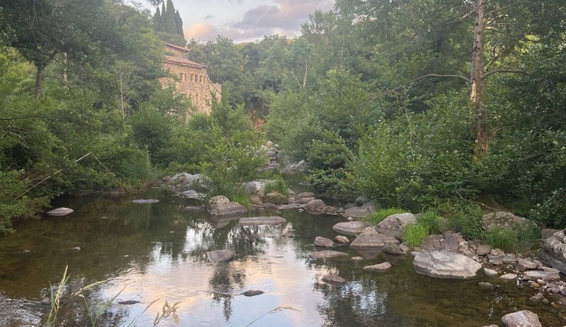 La Félicité: the river, nature, time to yourself.