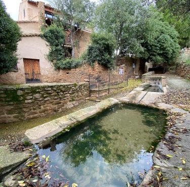 La falsa de Palacio