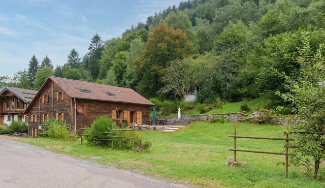 La Ferme aux Myrtilles - Ancienne ferme vosgienne