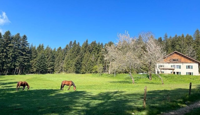 La Ferme des Brosses