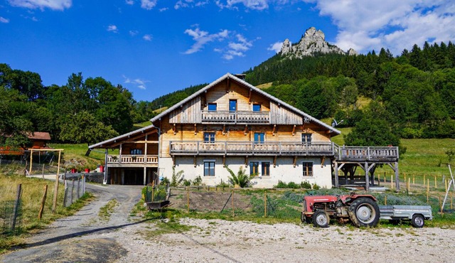 La Ferme de l'Âne Rouge - Holiday cottage -15 people including max. 12 adults