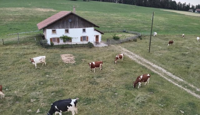 la ferme de la gaby by Interhome